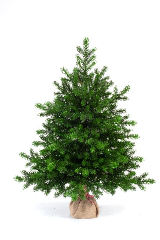 EveXmas- Altair -95cm- Hochwertiger künstlicher Weihnachtsbaum – Einfach zu montieren Wunderschöne Baumspitzen aus 100% PE - Sehr natürlich aussehender Baum