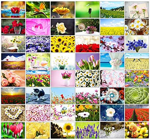 48 Blanko-Grußkarten mit Fotos im Landschafts-Design: 48 helle und fröhliche...