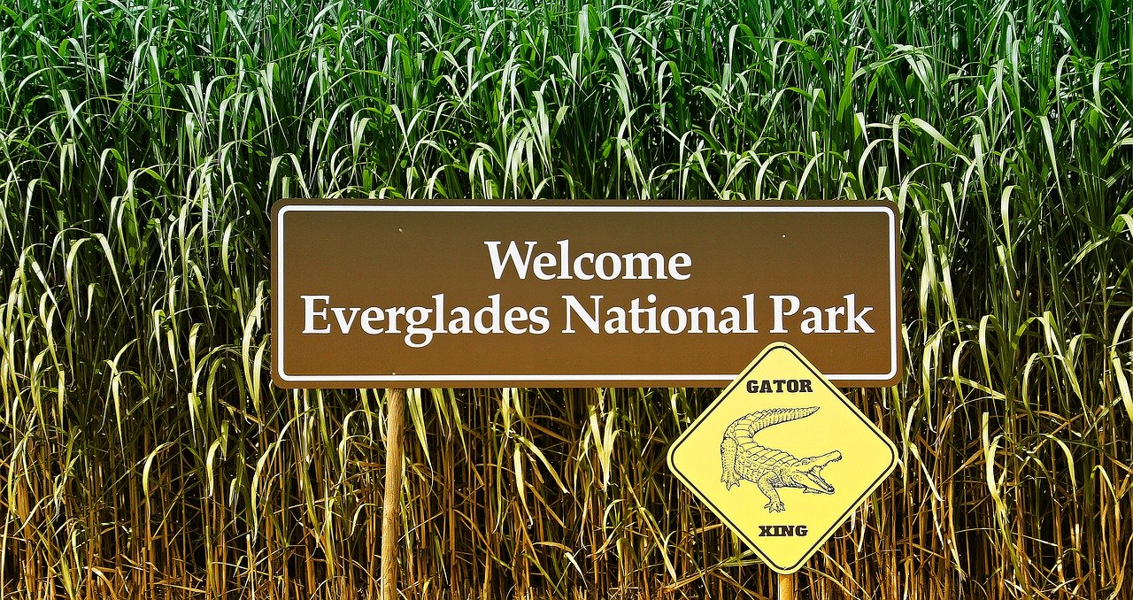 Everglades National Park Steckbrief
