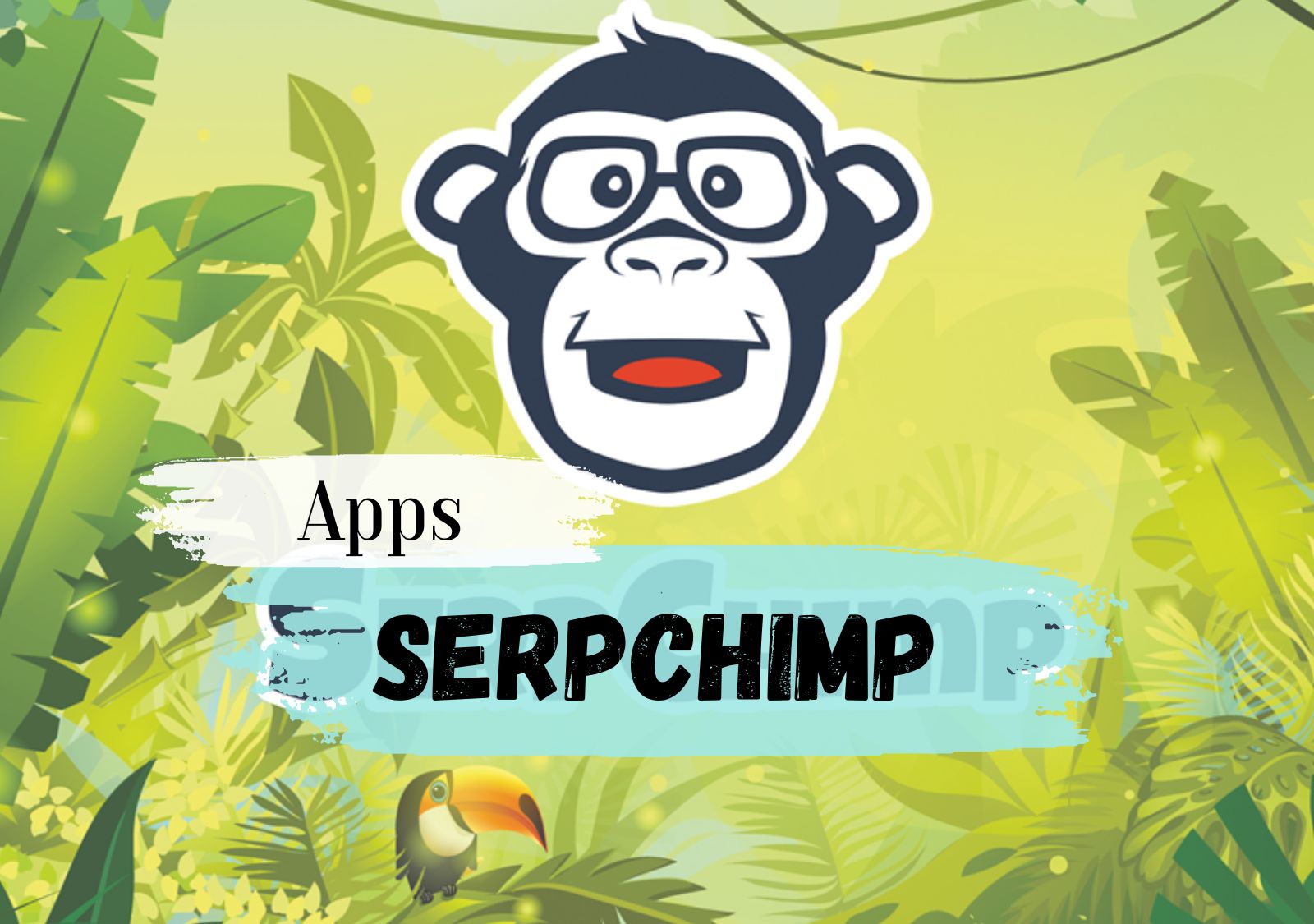 Serpchimp App