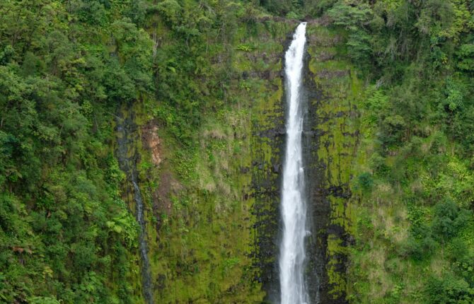 Akaka Falls Park - Hawaii Steckbrief & Bilder