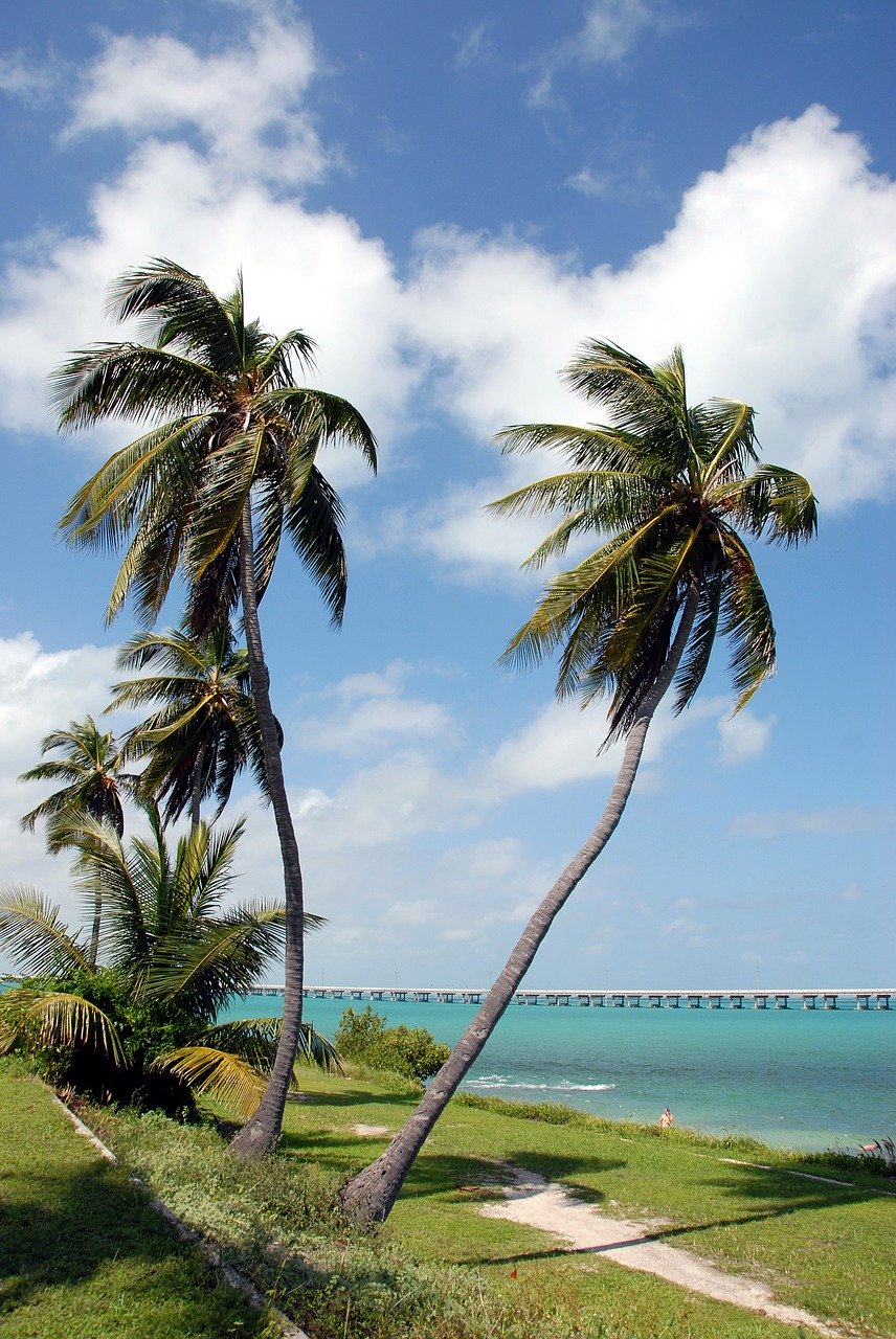 Grand Cayman – Kaimaninseln Steckbrief & Bilder