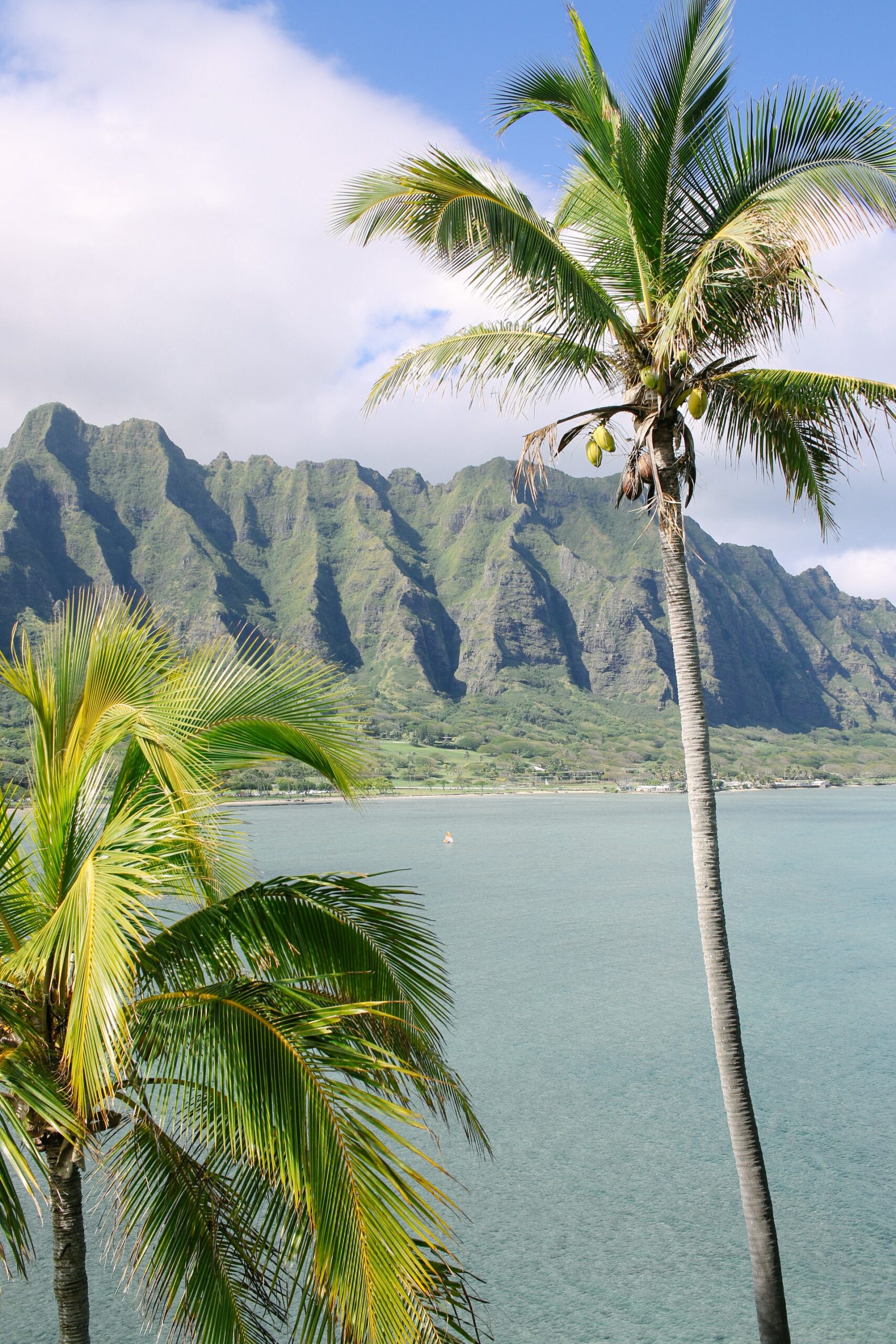 Oahu Insel – Hawaii Steckbrief & Bilder