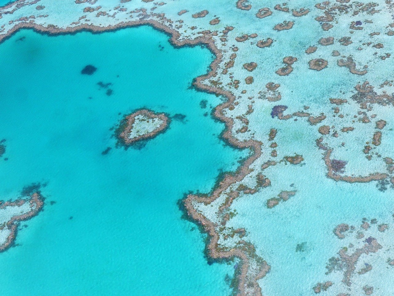Great Barrier Reef Steckbrief & Bilder